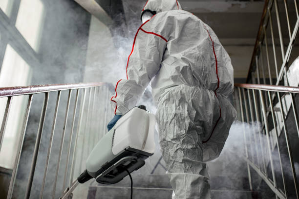 Best HVAC Mold Inspection and Cleaning  in Berkeley, MO